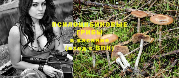 герыч Осинники
