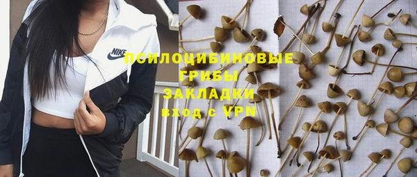 герыч Осинники