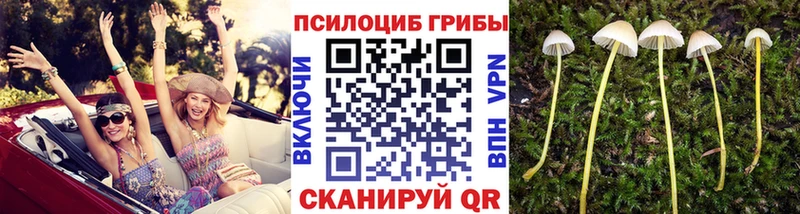 Псилоцибиновые грибы Magic Shrooms  хочу наркоту  Ишим 