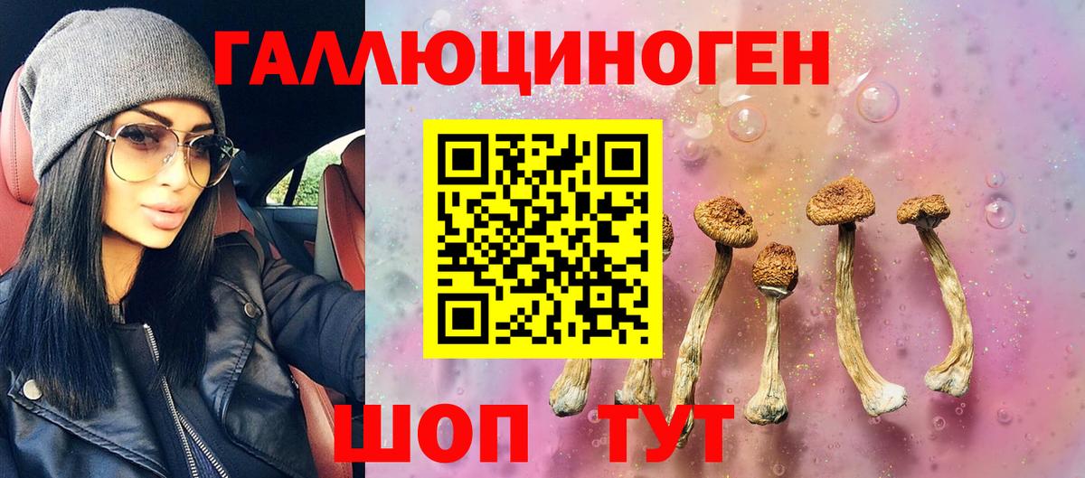 Галлюциногенные грибы ЛСД  Вход с VPN  Ишим  Галлюциногенные грибы Psilocybine cubensis 